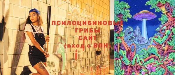 прущая мука Михайловск