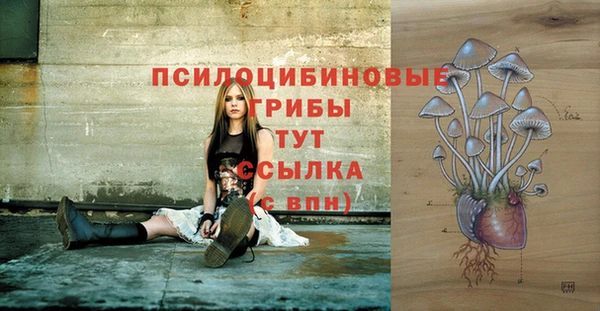 прущая мука Михайловск