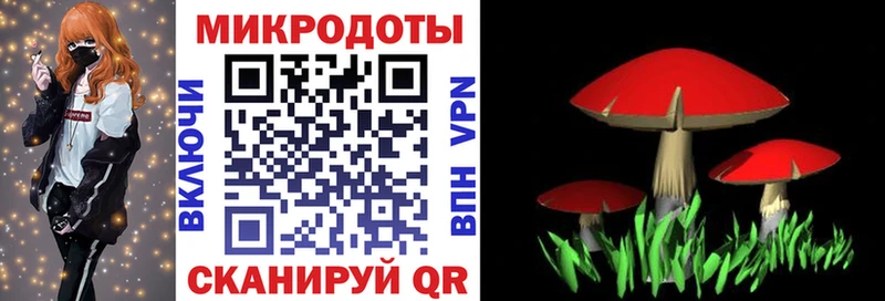 Псилоцибиновые грибы MAGIC MUSHROOMS  Оренбург 